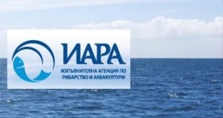 1 тон риба и 24 км мрежи заловени при проверките на ИАРА през септември