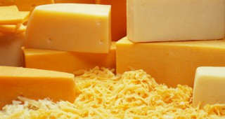 Започва прием по извънредна схема за складиране на сирене, кашкавал и извара