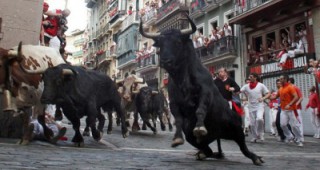Седмица на биковете стартира днес в Испания