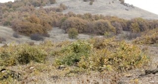 Природозащитници против завода за отпадъци край Бесапарски ридове