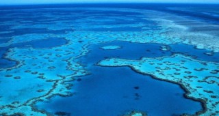 Екоактивисти се пребориха за Големия бариерен риф