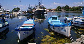 Рибарите по Черноморието фалират