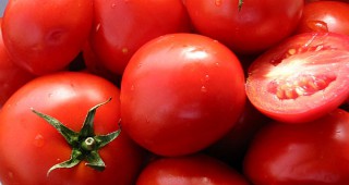 Холандци се замерват с домати заради руското ембарго