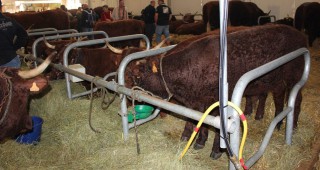 Над 2000 души посетиха българския щанд на МЗХ на животновъдно изложение в Клермон-Феран
