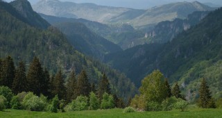 Зам.-министър Костов: България е третата най-богата страна в Европа по биоразнообразие на горите си