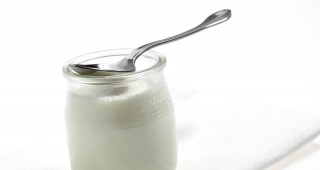 Българско кисело мляко на конкурс Произведено в Америка