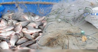 Незаконни риболовни уреди са открити в язовир Доспат и река Дунав