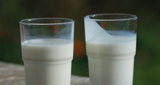 Екологичните норми – основен проблем пред млекопреработвателите