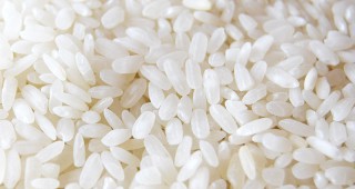 Празник на ориза ще се проведе в Християново