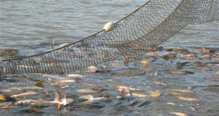 Инспектори на ИАРА са унищожили незаконни уреди за улов на риба