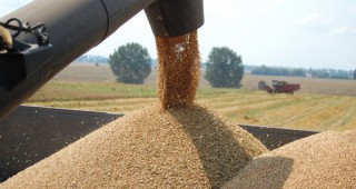 По данни на МЗХ производството на пшеница от реколта 2014 възлиза на 4 870 хил. тона