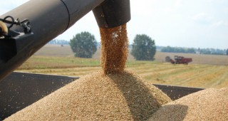 По данни на МЗХ производството на пшеница от реколта 2014 възлиза на 4 870 хил. тона