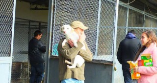 Ден на отворените врати популяризира осиновяването на кучета от приюта в Стара Загора
