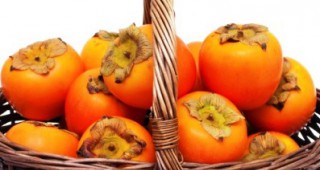 В старозагорското село Хрищени ще се проведе традиционния празник на райската ябълка