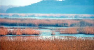 БЗДП алармира за нарушения в резервата Сребърна