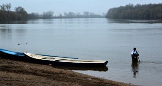WWF разселва застрашени есетрови риби в Дунав