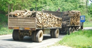 Два камиона с незаконно отсечени дърва са били хванати