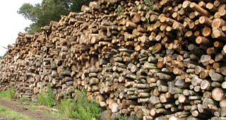 16 кубика дърва за огрев са задържали служителите на РДГ- Сливен