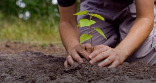 Залесяване под надслов За зелена, обединена Европа