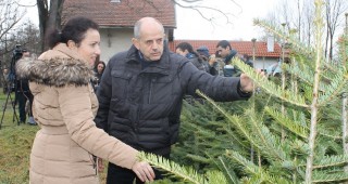 МЗХ и ИАГ стартират кампания по опазване на българската гора