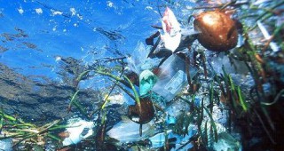 Хиляди тонове пластмасови отпадъци плават в световните океани
