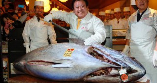 Огромна риба тон беше продадена на търг