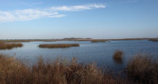 7 бракониерски мрежи бяха извадени от Орлово блато на защитена зона Дуранкулашко езеро