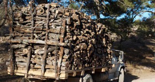 Товарен автомобил и 14,70 кубика едра строителна дървесина са задържали горските служители от РДГ – София