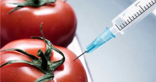 ЕП гласува за правото на отказ от ГМО