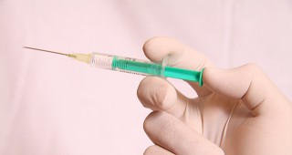 В Шуменска област има пълна готовност за извършване на ваксинация срещу син език