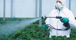 Намалява употребата на пестициди в Дания