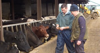 Германски експерти ще обучават българските си колеги в областта на животновъдството