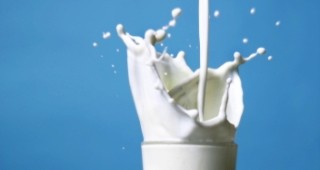 България на последно място в Европа по производство на мляко