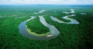 Бразилия смята да намали драстично сечта в горите си