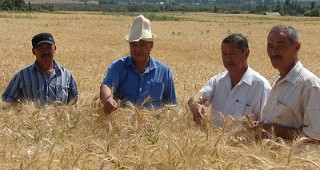 Киргизстан и ФАО подписаха споразумение за приоритетите на сътрудничество