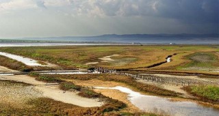Басейнова дирекция за Черноморски район - Варна и РИОСВ - Бургас ще проверят състоянието на Атанасовско езеро