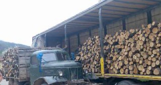 Около 200 куб. м. незаконно добити дърва, установиха горски инспектори от РДГ Велико Търново