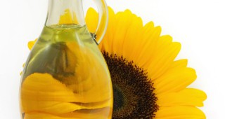 Средната цена на едро на рафинираното слънчогледово олио бележи леко понижение
