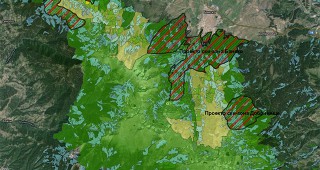 Проектът за 300 км ски писти в Пирин - заплаха за вековните гори