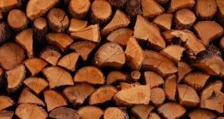 Вносът на дървен материал е намалял драстично