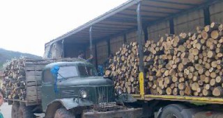 28 акта съставиха горските инспектори от РДГ – Варна при проверки само за последните три дни