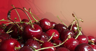 Производители получават финансиране по схемата за подобряване на качеството на плодове и зеленчуци, произвеждани в България