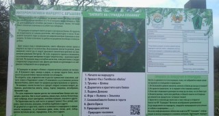 Нов маршрут ще показва билките на Странджа планина