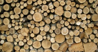Задържани са трима бракониери, транспортиращи дърва за огрев в района на РДГ – Ловеч