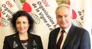 България засилва сътрудничеството си с Международната организация по лозарство