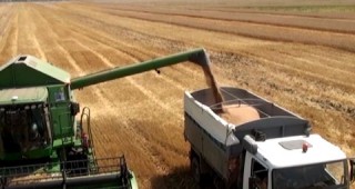 ЕС е най-големият износител на пшеница