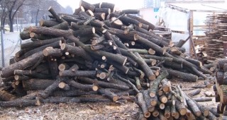 Затварят два цеха в Гърмен за нелегална дървесина