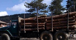 Задържани са 2 автомобила и 57 кубика дърва за огрев в района на РДГ - Берковица