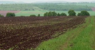 В Шумен искат увеличение на наемите за общински земеделски площи