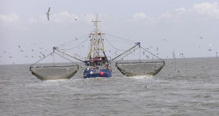 Новите правила на ЕС затрудняват риболовната индустрия